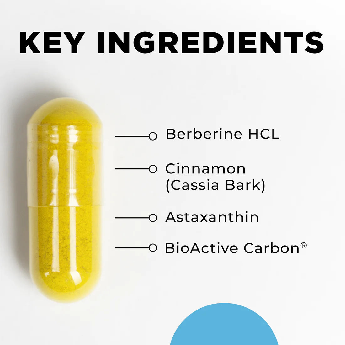 GCO Metabolic Support