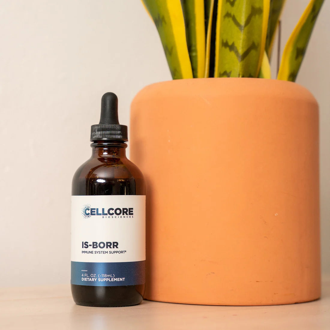 IS-BORR Immune Boost