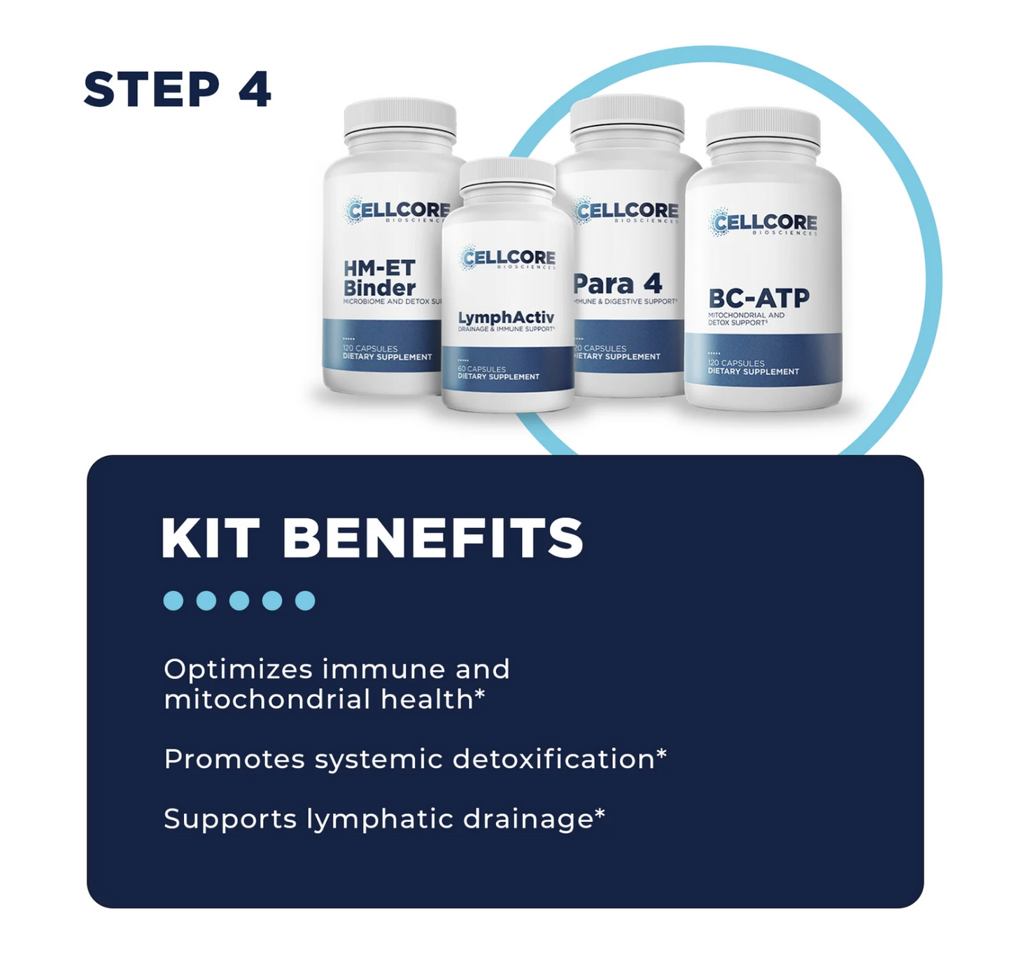 Foundational Protocol (Steps 1-4)