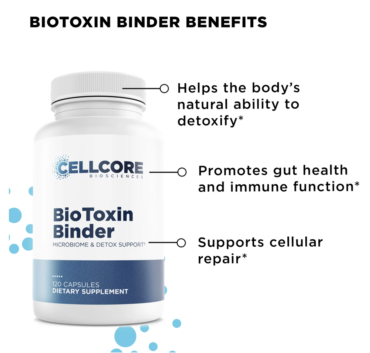Phase 2: Gut & Immune Support Kit