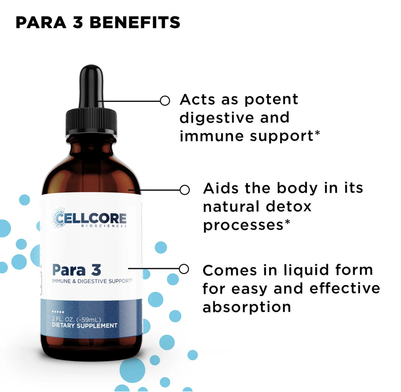 Phase 3: Whole Body Immune Support Kit