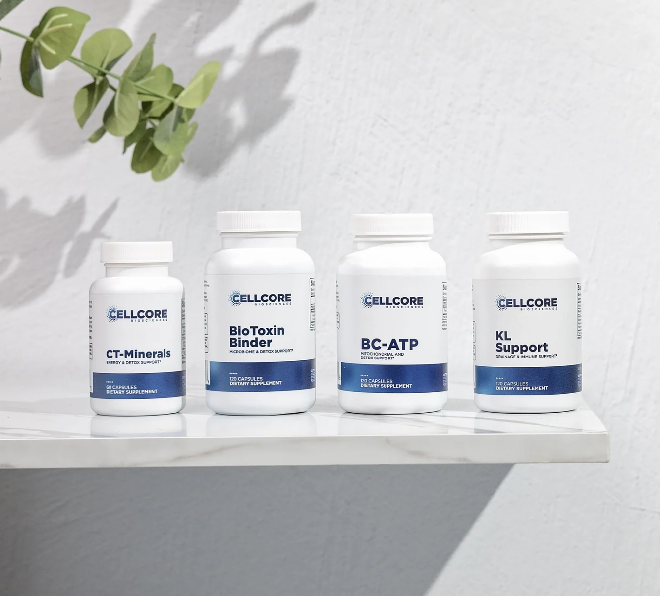 Step 1: Jumpstart Kit