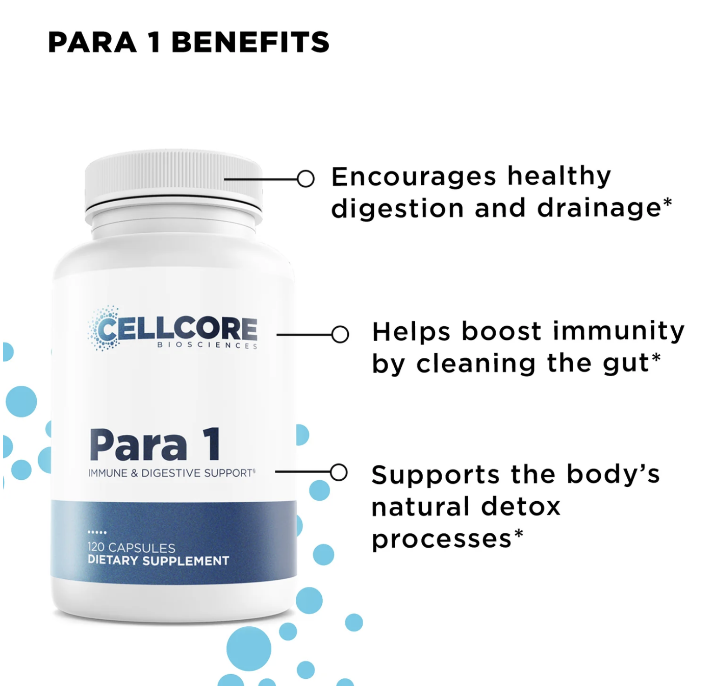 Intestinal Permeability Kit