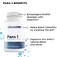 Phase 3: Whole Body Immune Support Kit