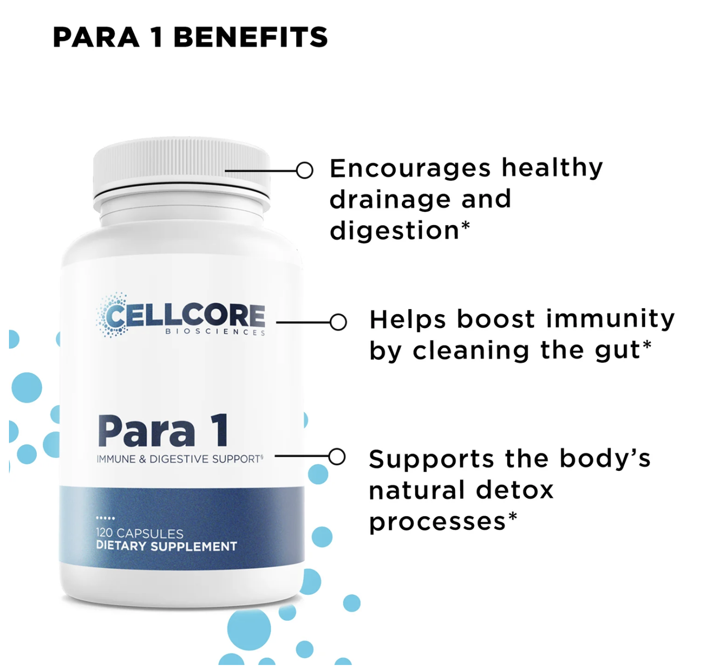Phase 3: Whole Body Immune Support Kit