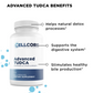 Phase 3: Whole Body Immune Support Kit