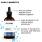 Phase 3: Whole Body Immune Support Kit