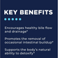 Phase 2: Gut & Immune Support Kit