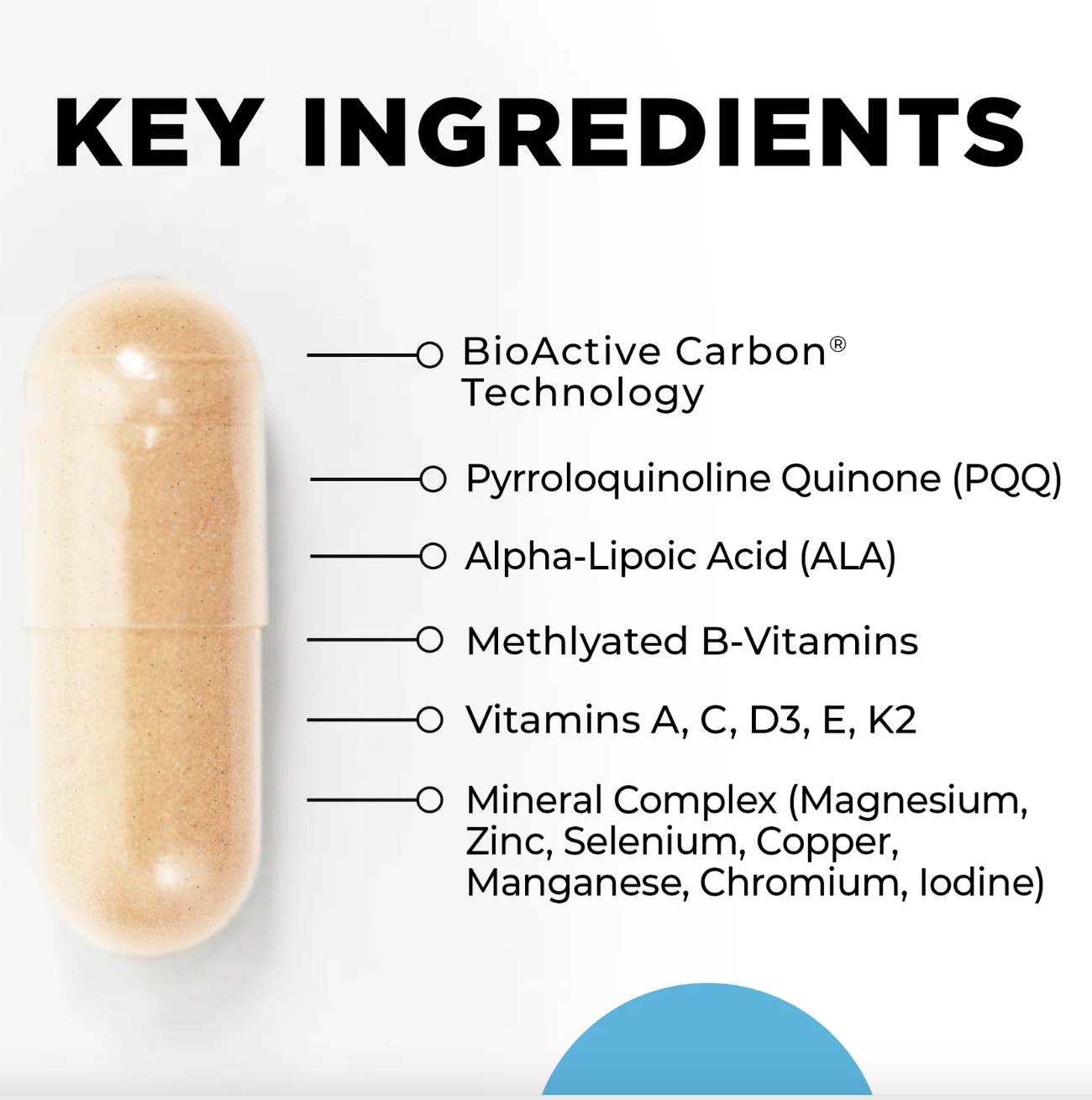Core Nutrients 120 Ct
