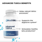 Phase 2: Gut & Immune Support Kit