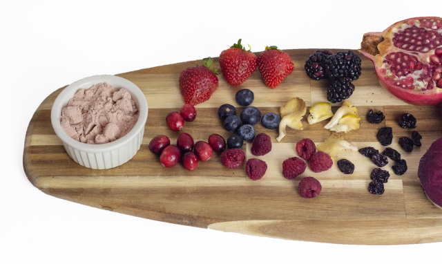 Dark Berry Protein
